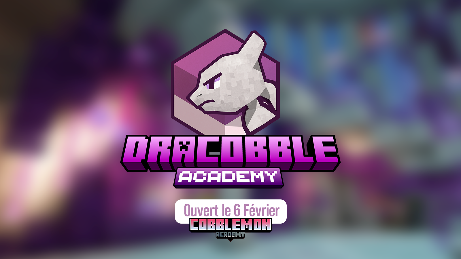 🎉 Dracobble Academy arrive sur Dracobble !